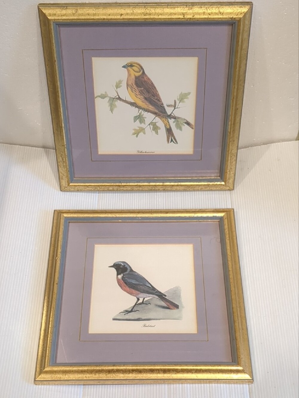 Unbranded Purple and Gold Framed Bird Art Prints - Set of 2